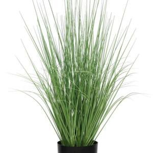 ONION GRASS TREE NP1009_60 ΥΨΟΣ 60cm NewPlan
