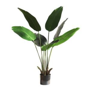 BANANA TREE NP1410_120 ΥΨΟΣ 120cm NewPlan
