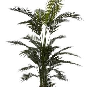 PALM TREE NP160_210_UV ΥΨΟΣ 210cm NewPlan