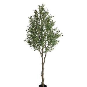 OLIVE TREE NP410_180 ΥΨΟΣ 180cm NewPlan
