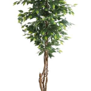 FICUS TREE NP5208_150 ΥΨΟΣ 150cm NewPlan