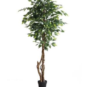 FICUS TREE NP5209_180 ΥΨΟΣ 180cm NewPlan