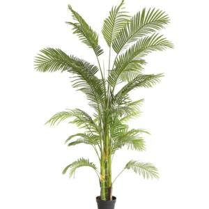 PALM TREE NP5500_240_22 ΥΨΟΣ 240cm NewPlan