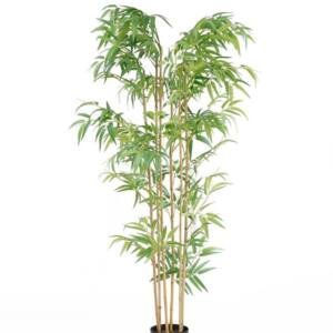 BAMBOO NP5801_150_22_UV ΥΨΟΣ 150cm NewPlan