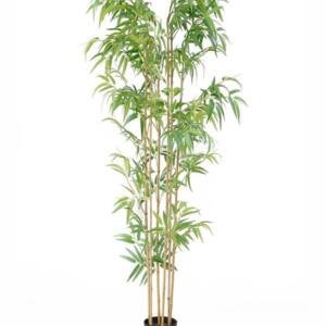 BAMBOO NP5801_180_22_UV ΥΨΟΣ 180cm NewPlan