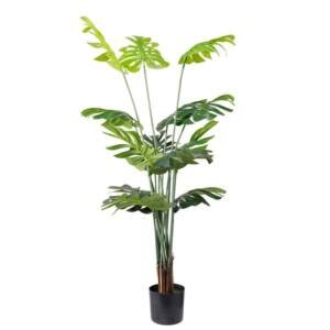 MONSTERA NP6314_155_22 ΥΨΟΣ 155cm NewPlan