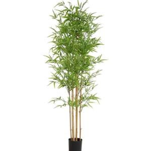 BAMBOO NP6321_180_22 ΥΨΟΣ 180cm NewPlan