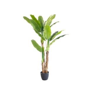 BANANA TREE NP6327_180_22 ΥΨΟΣ 180cm NewPlan