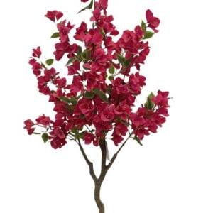 BOUGAINVILLEA NP_70_120 ΥΨΟΣ 120cm NewPlan