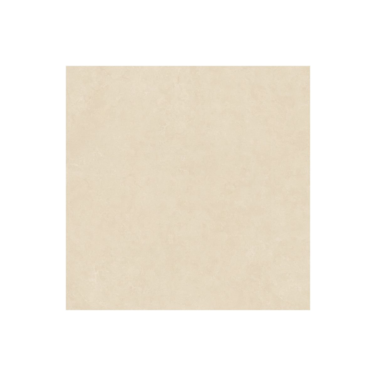 SAIME DORSET - Image 7