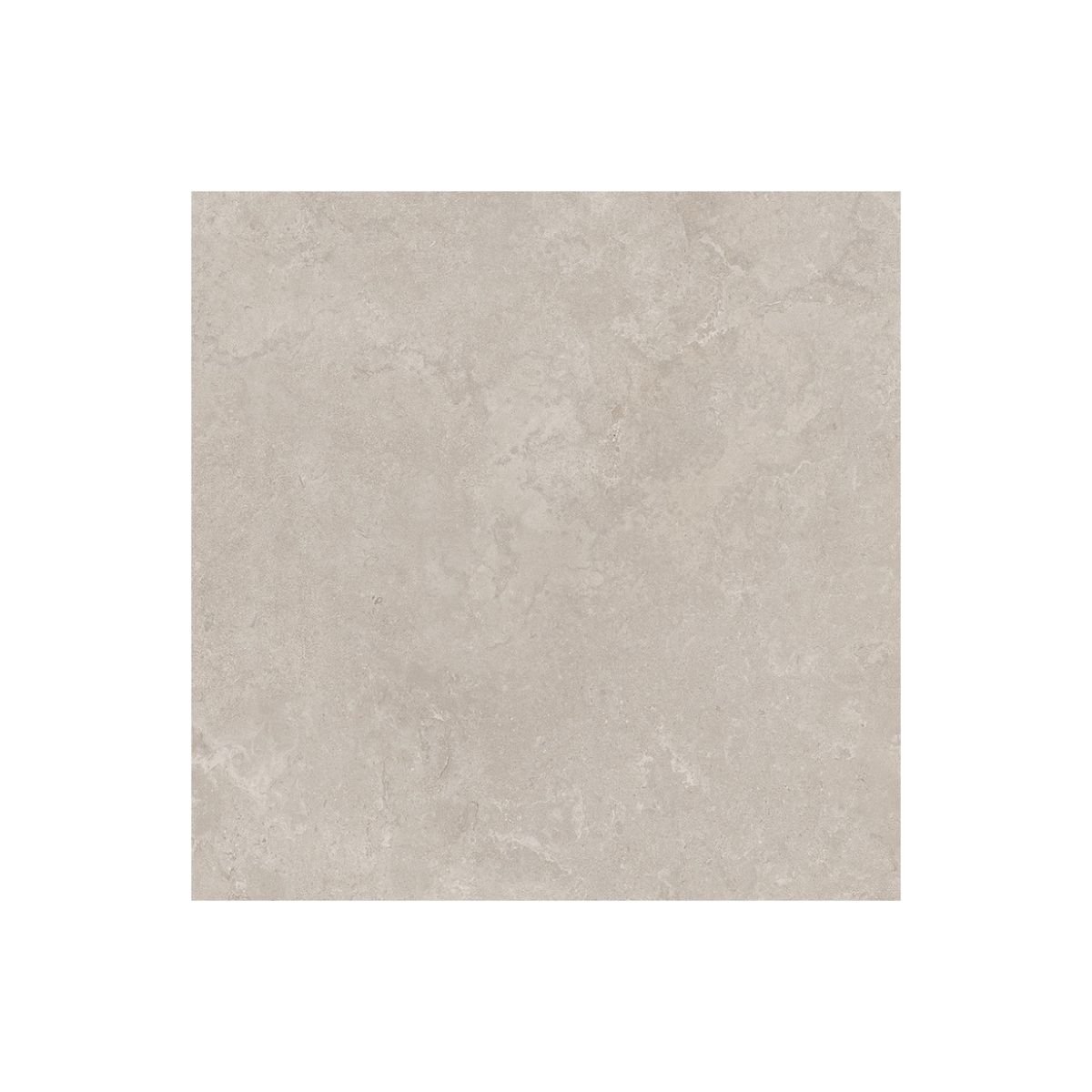 SAIME DORSET - Image 3