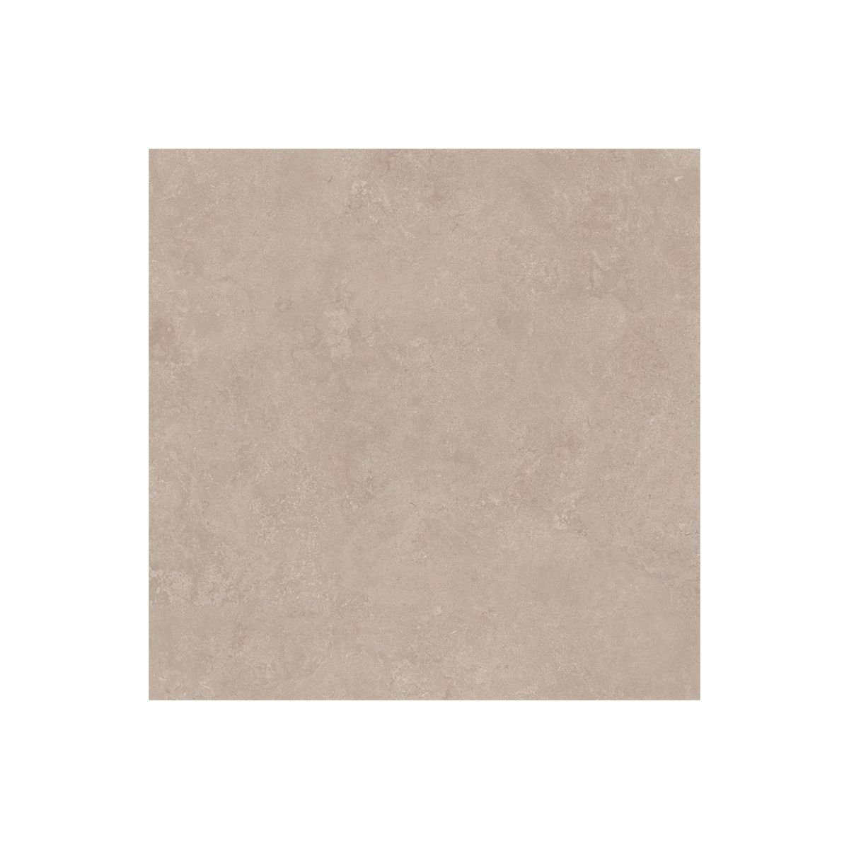 SAIME DORSET - Image 2
