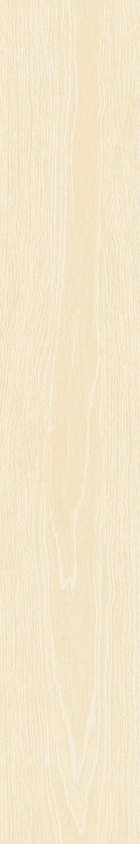 SAIME HERITAGE - Image 2