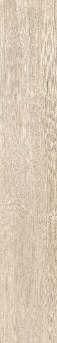 SAIME TUNDRA - Image 2