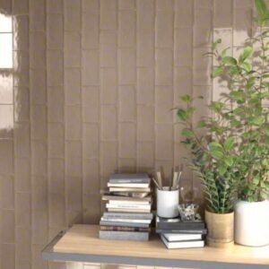 VIVES ETNIA 10x20